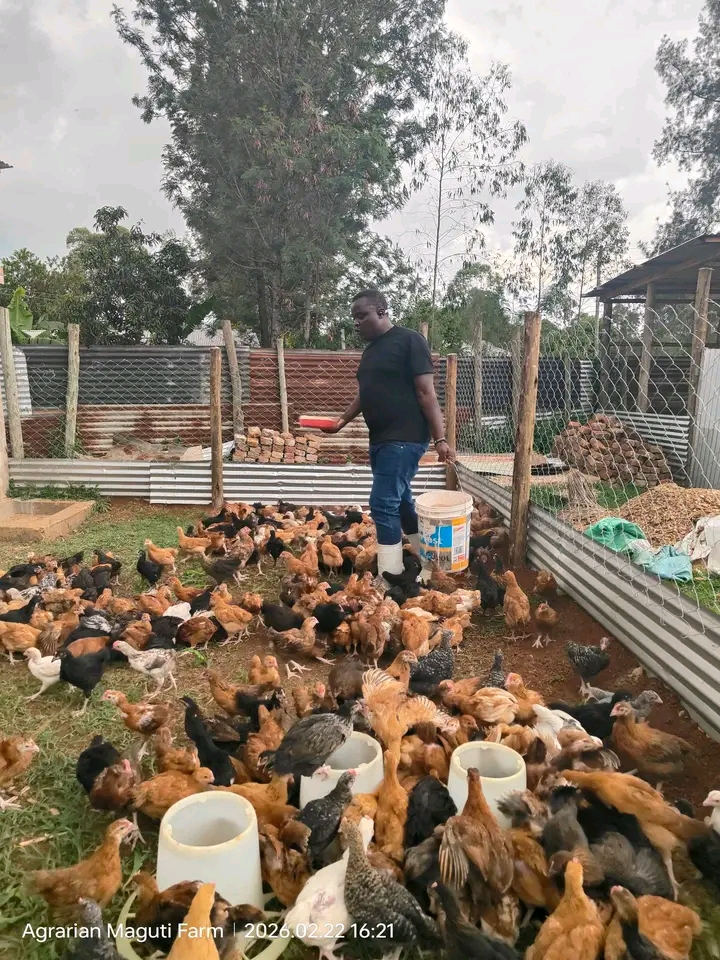 Crops Farm